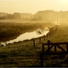 Herbstnebel am frühen Morgen