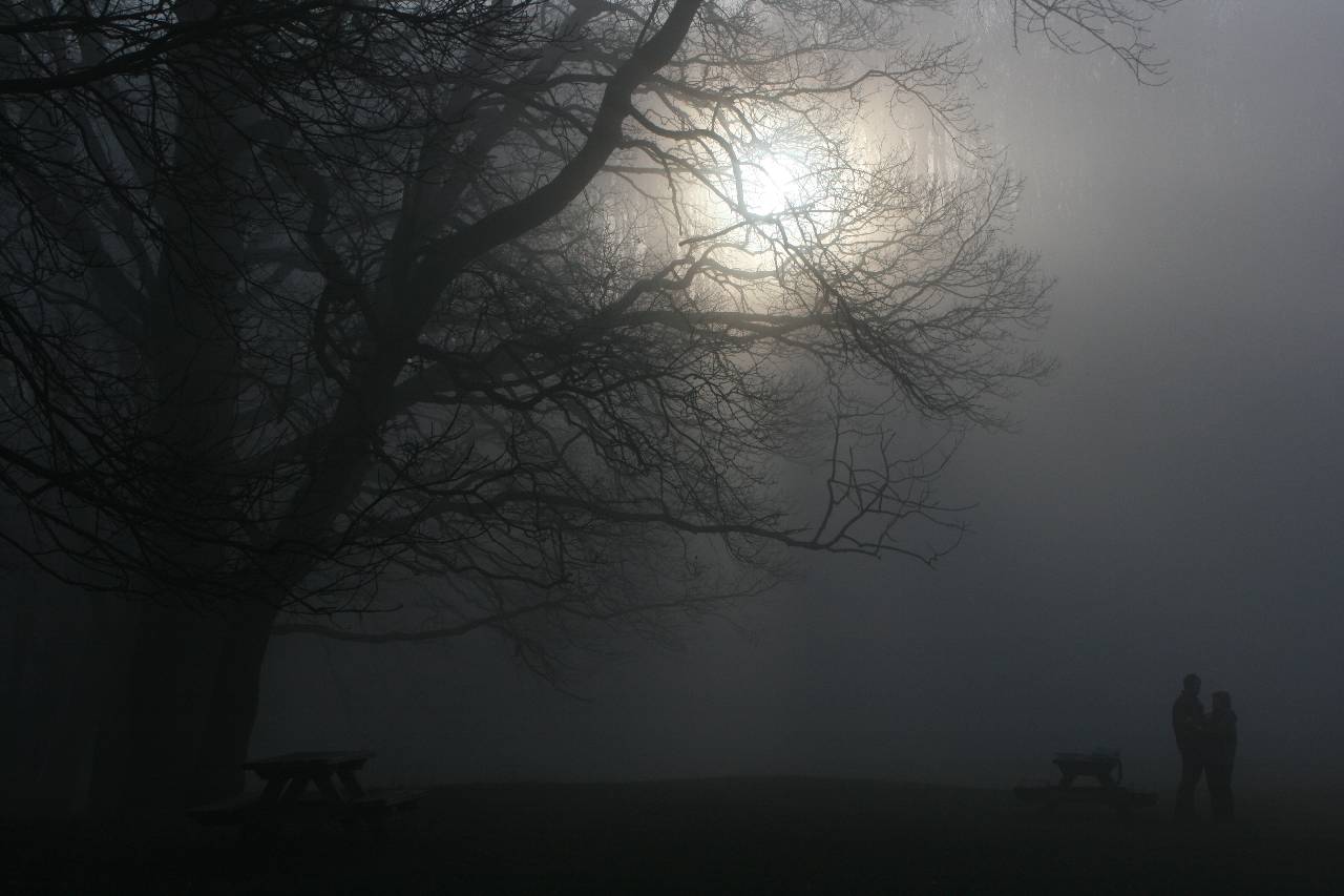 Herbstnebel am Hermannskogel, Wien