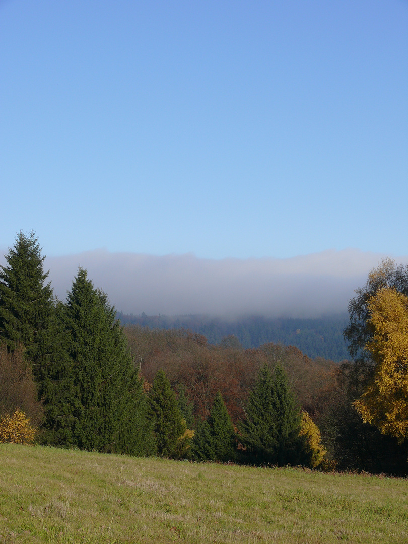 Herbstnebel am Hohen Meißner