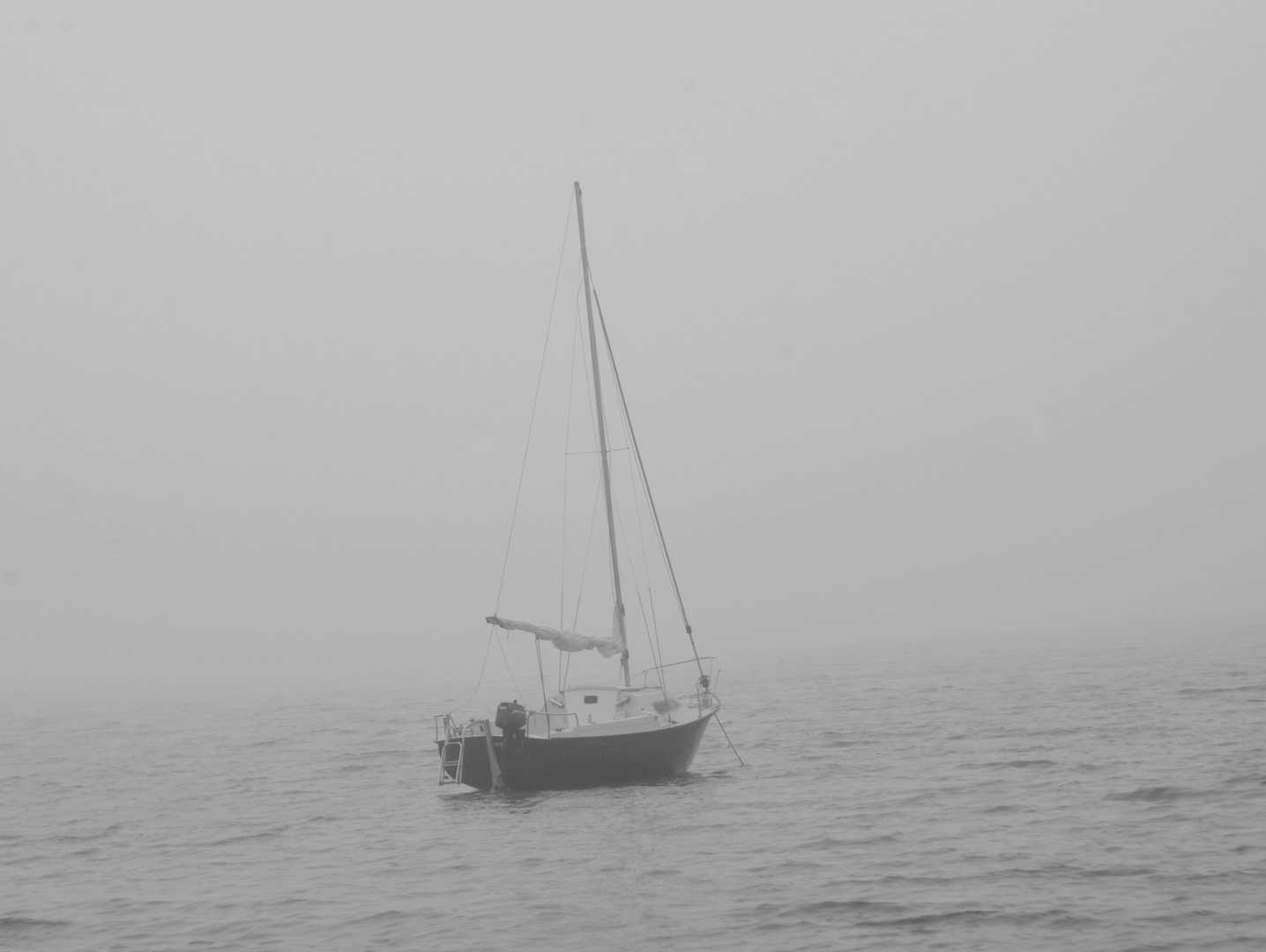 Herbstnebel am Meer