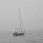 Herbstnebel am Meer