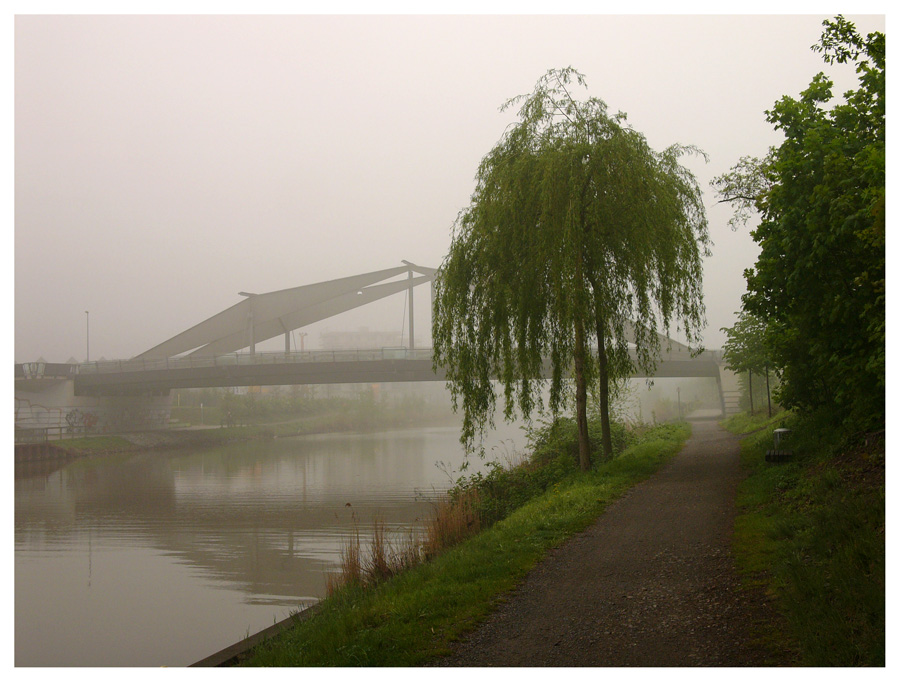 Herbstnebel am Mittellandkanal