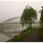 Herbstnebel am Mittellandkanal