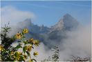 Herbstnebel am Morgen umhüllt die Watzmann-Familie by Gerti W 