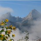 Herbstnebel am Morgen umhüllt die Watzmann-Familie