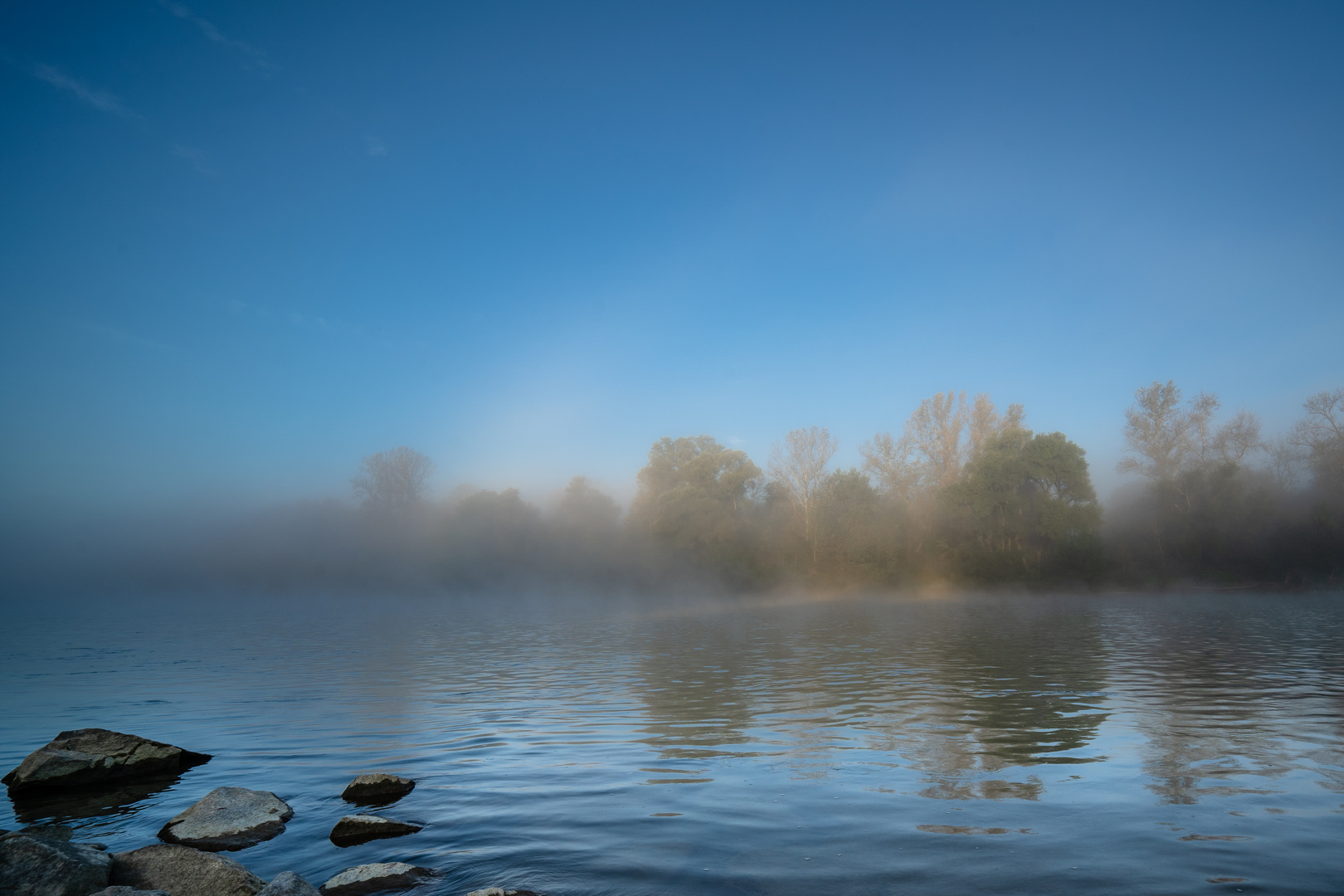 Herbstnebel am Rhein bei Freiburg im Breisgau