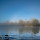 Herbstnebel am Rhein bei Freiburg im Breisgau