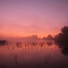 Herbstnebel am See