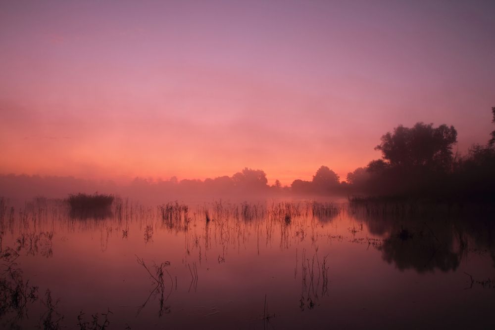 Herbstnebel am See