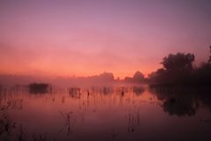 Herbstnebel am See