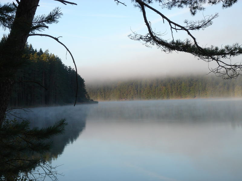 Herbstnebel am See