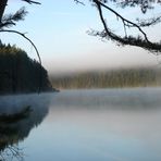 Herbstnebel am See