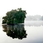 herbstnebel am see