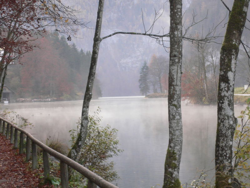 Herbstnebel am See