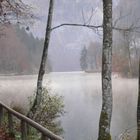 Herbstnebel am See