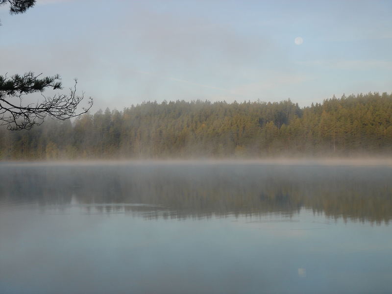 Herbstnebel am See Teil 2