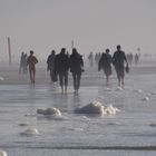 Herbstnebel am Strand von SPO