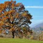 Herbstnebel am Wiehengebirge und der Weser