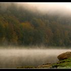 Herbstnebel an der Elbe...