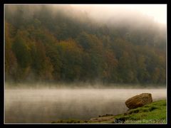 Herbstnebel an der Elbe...