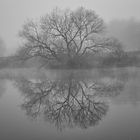 Herbstnebel an der Fulda