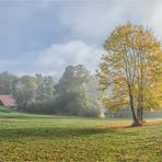 herbstnebel auf christlesgut