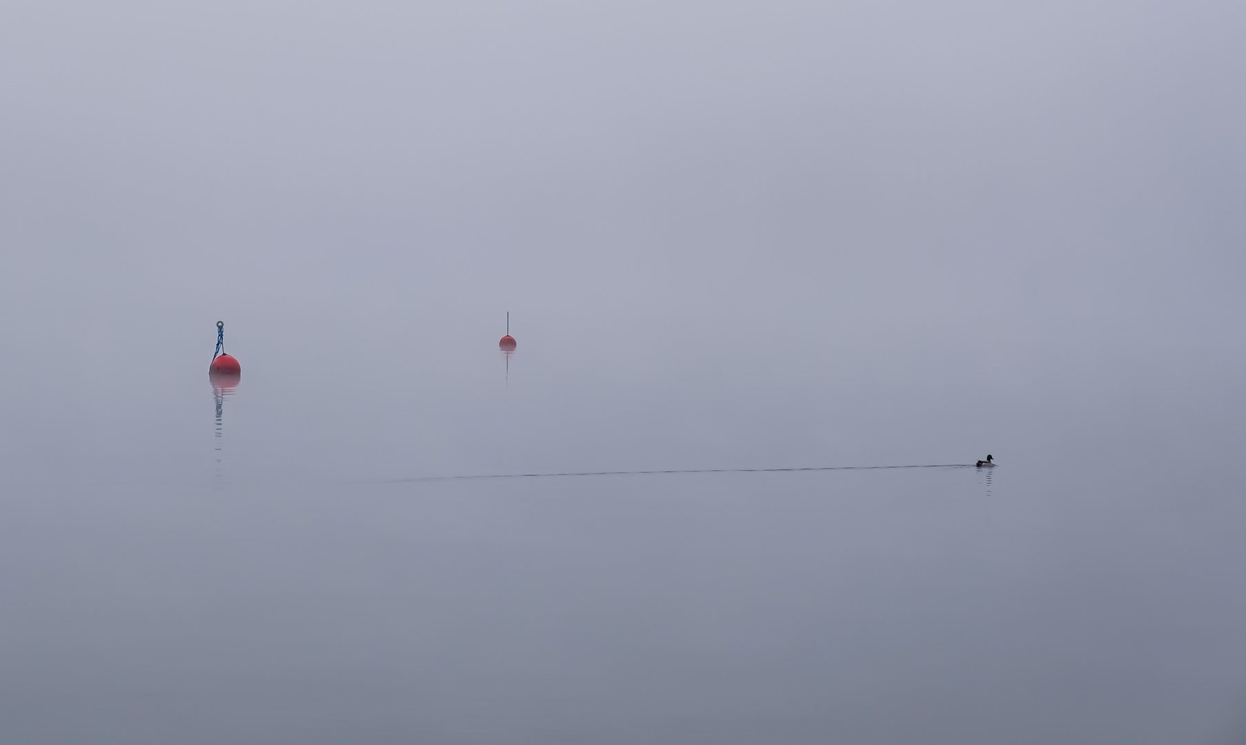 Herbstnebel auf dem See