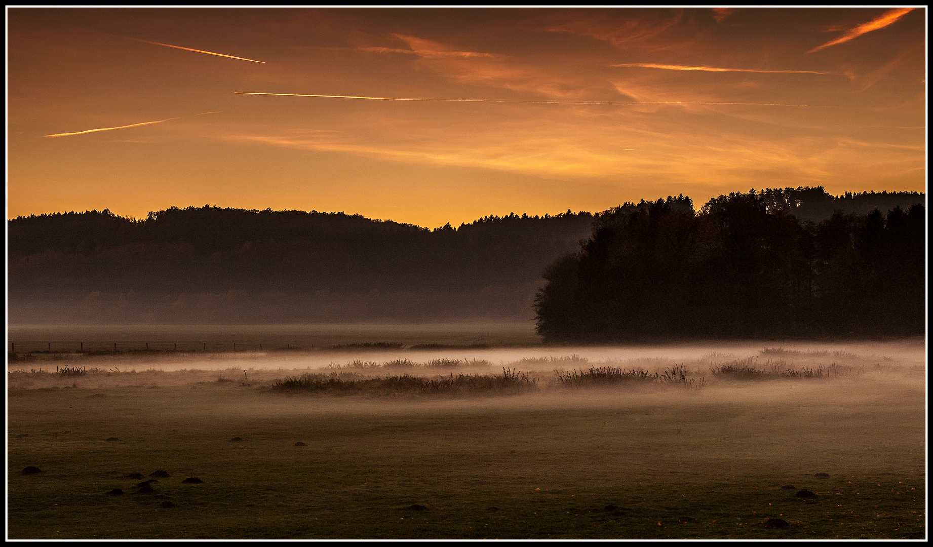 Herbstnebel auf den Ruhrwiesen.....