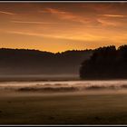 Herbstnebel auf den Ruhrwiesen.....