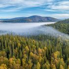 Herbstnebel / Autumn fog