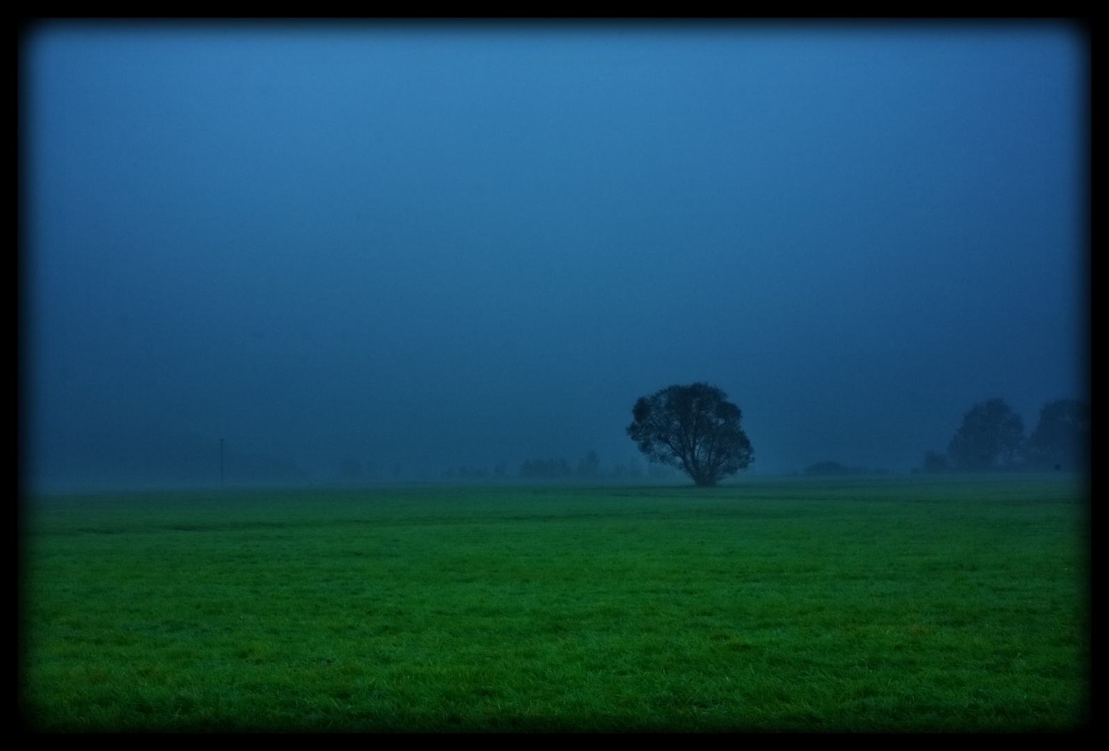 Herbstnebel