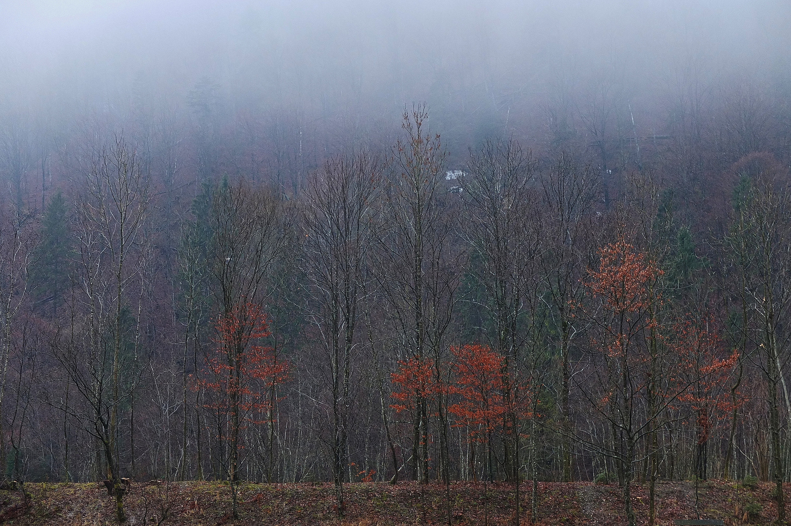 Herbstnebel