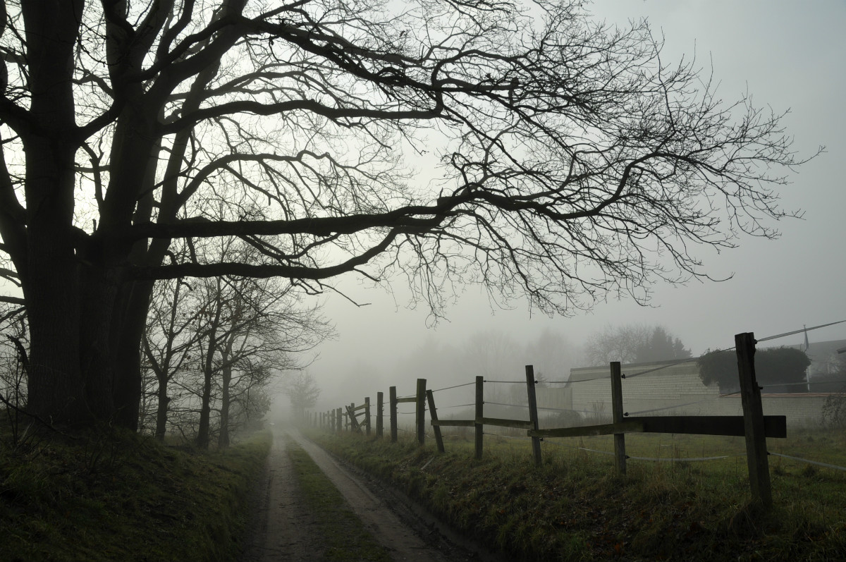 Herbstnebel