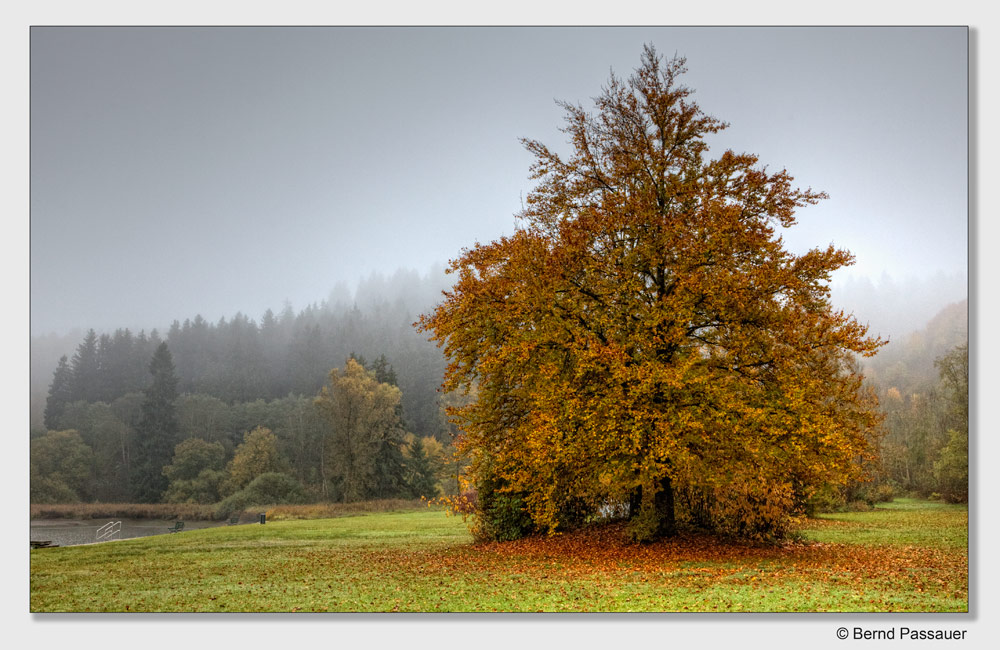 Herbstnebel