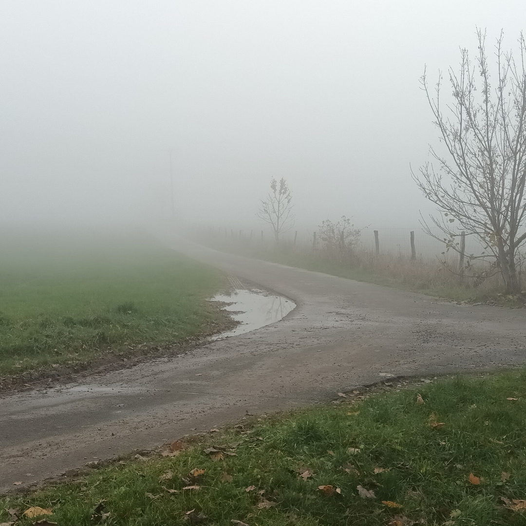 Herbstnebel