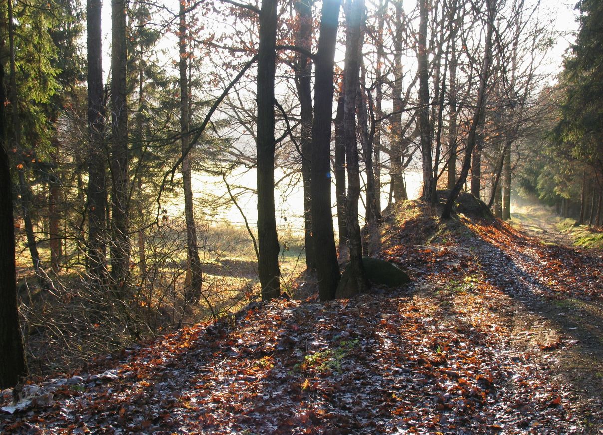 Herbstnebel