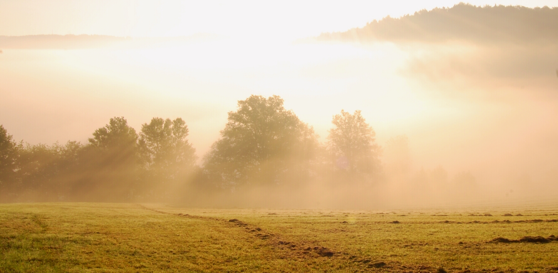 Herbstnebel