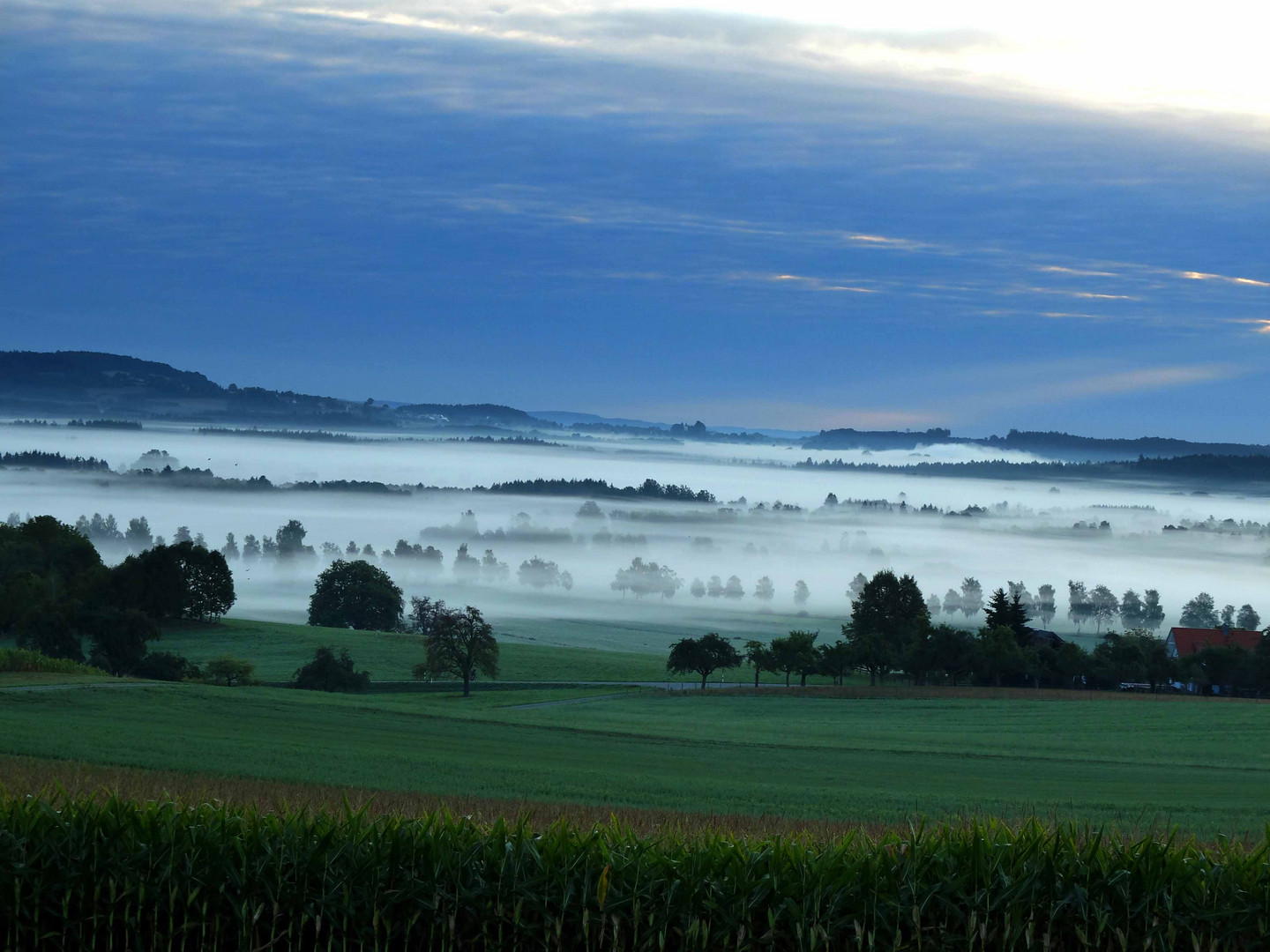 Herbstnebel