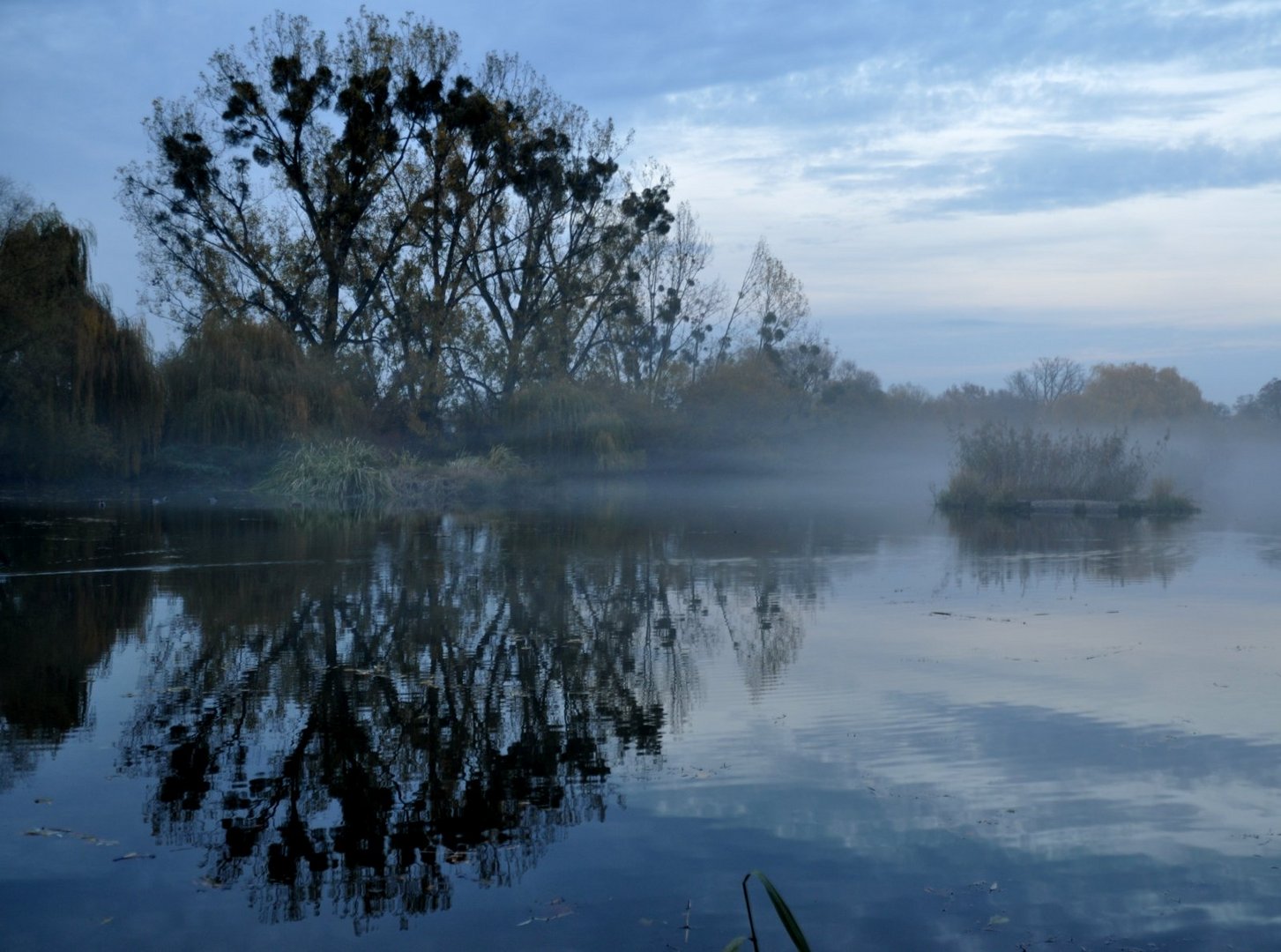 Herbstnebel...