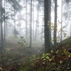 Herbstnebel