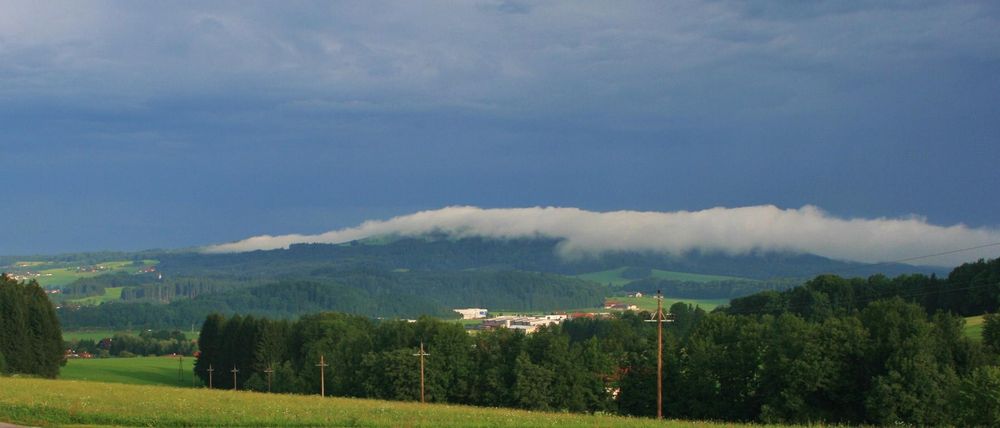 Herbstnebel