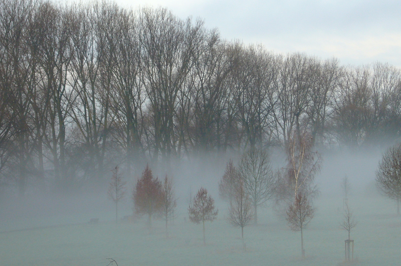 Herbstnebel