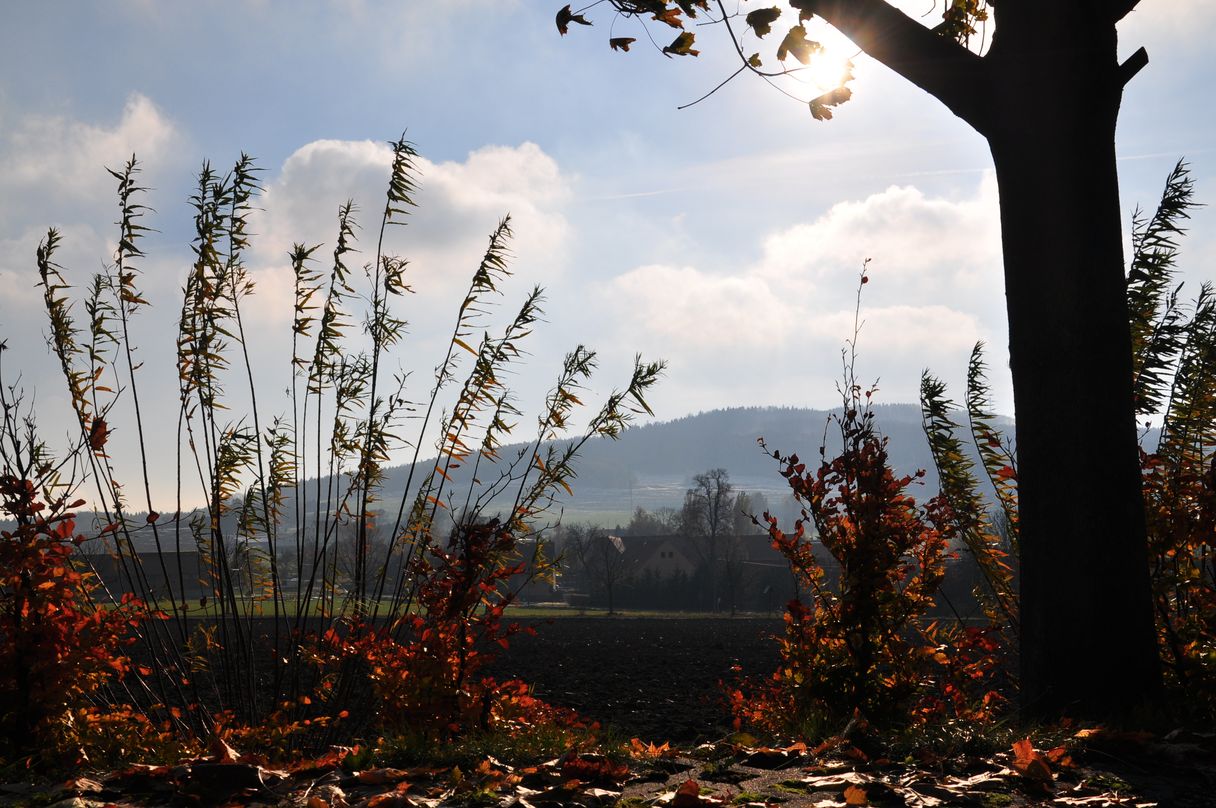 Herbstnebel