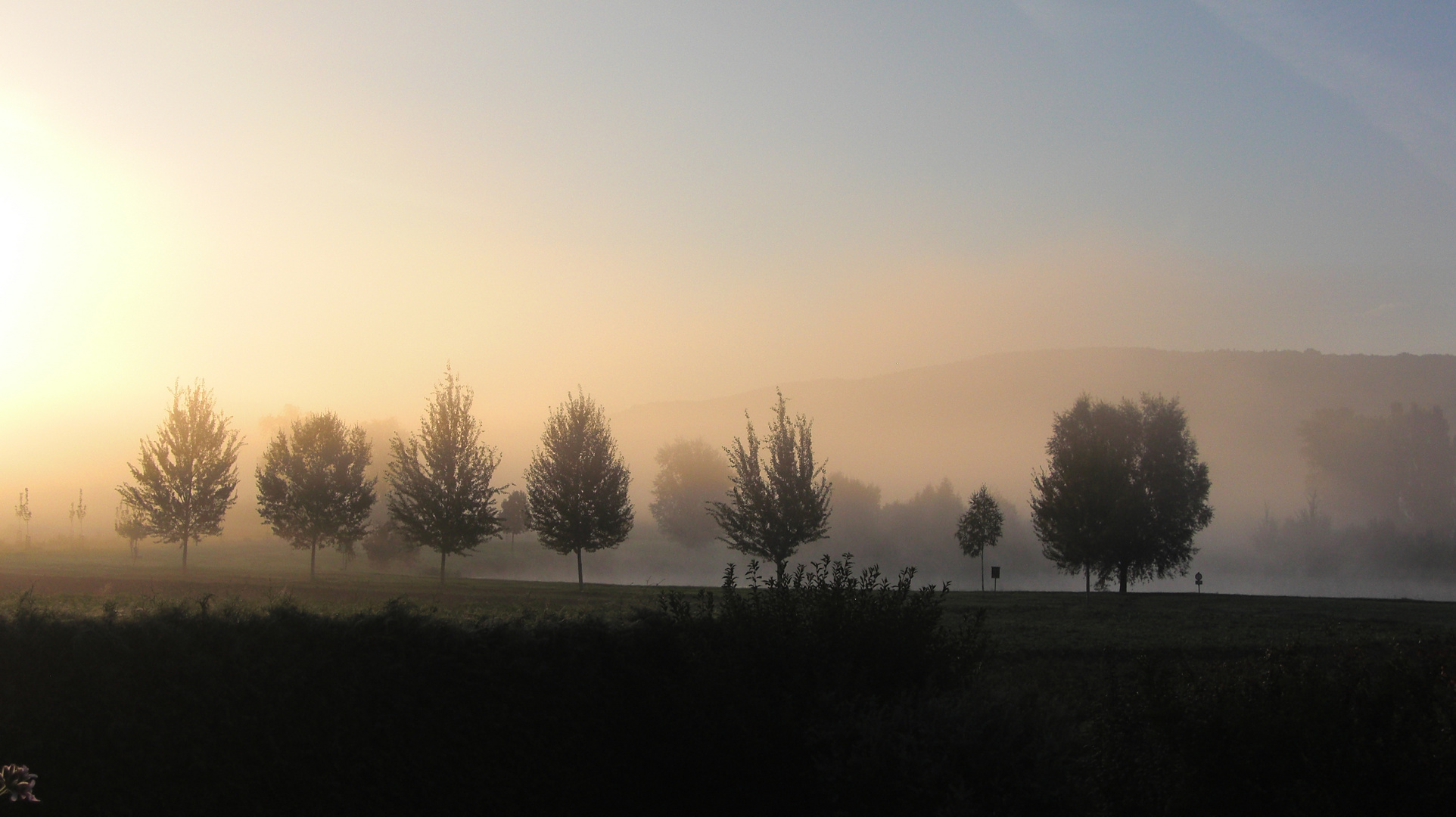 Herbstnebel