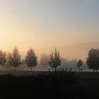 Herbstnebel