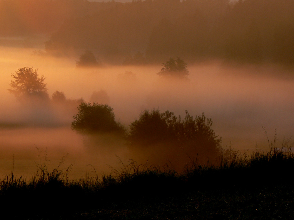 Herbstnebel