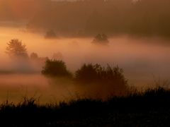 Herbstnebel