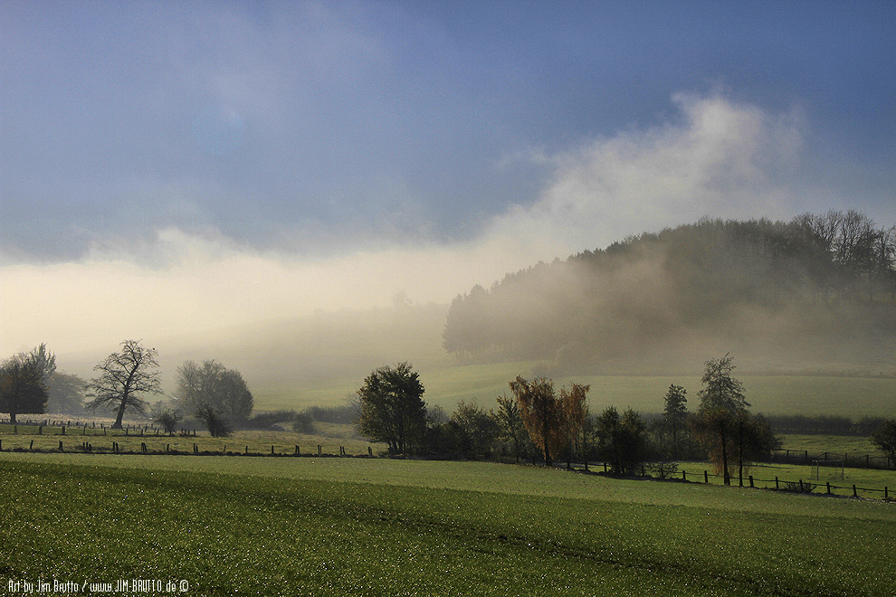 Herbstnebel bei Altenbeken