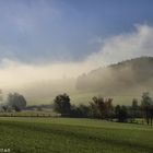 Herbstnebel bei Altenbeken