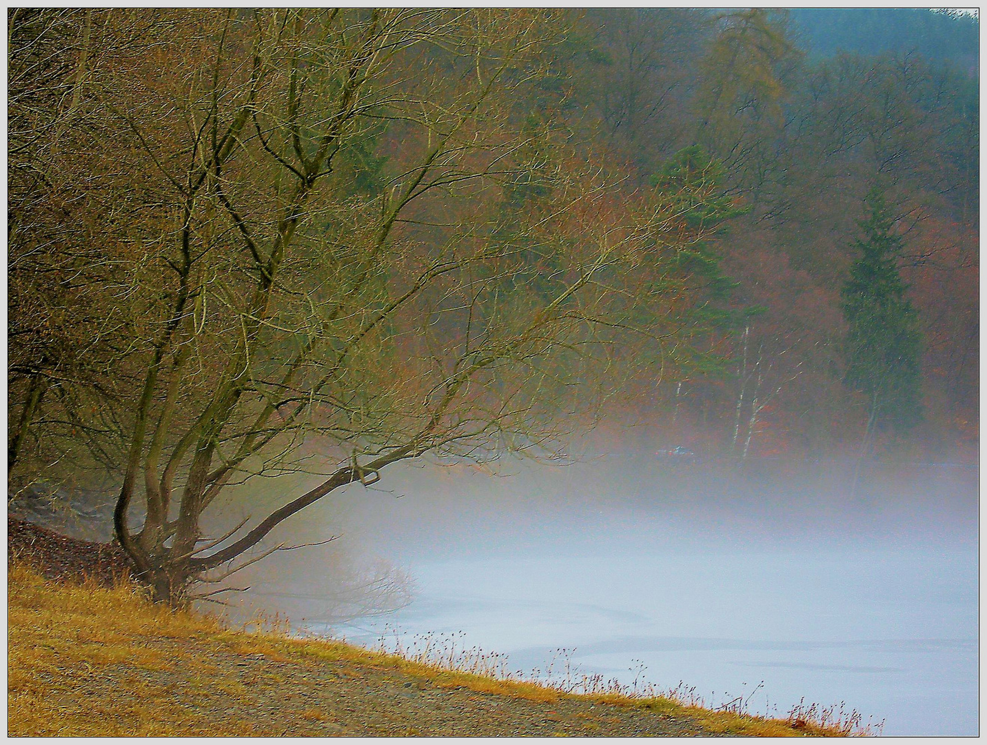 Herbstnebel bei Winterkälte